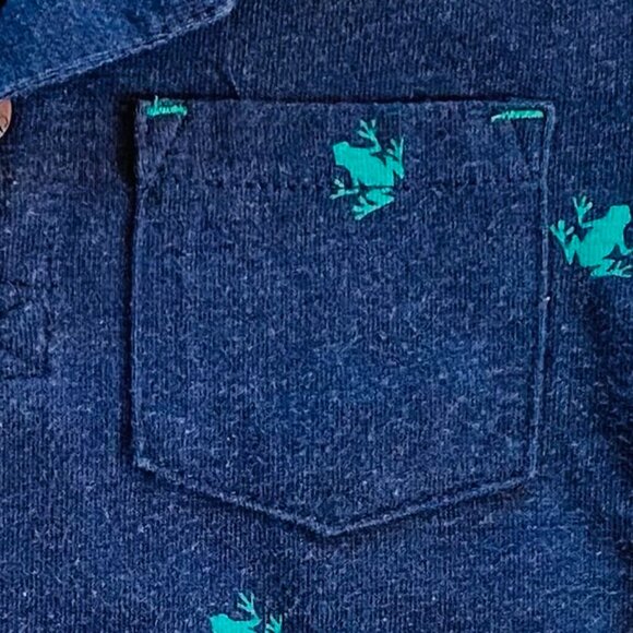 Infant Boy Polo Shirt Bundle 2-pieces Frogs and Lizards size 18 months - Picture 4 of 16